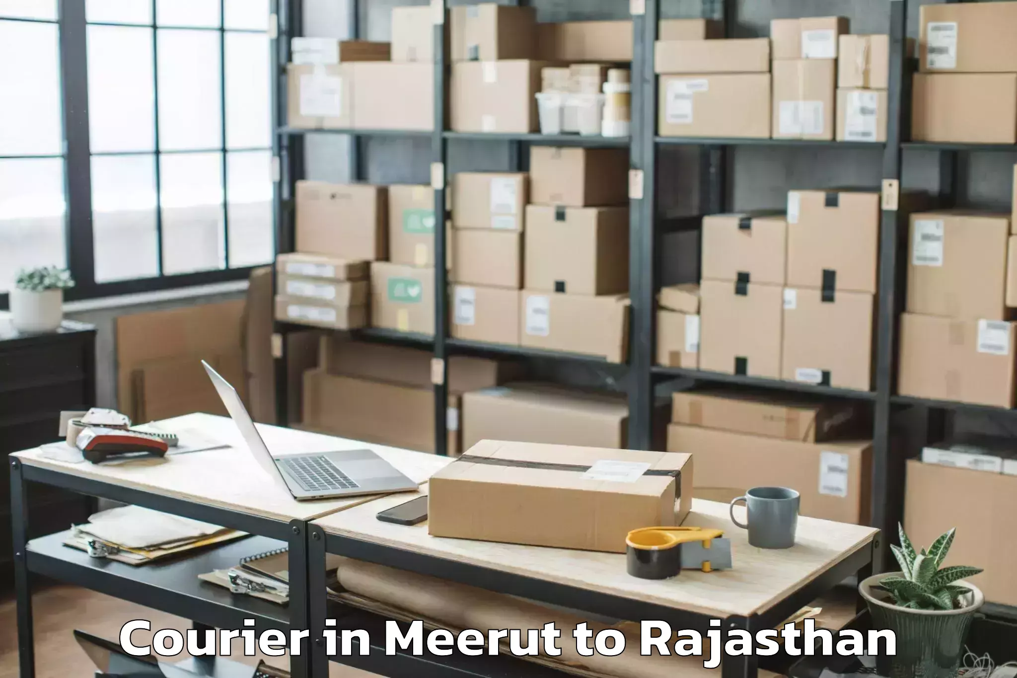 Professional Meerut to Opjs University Churu Courier